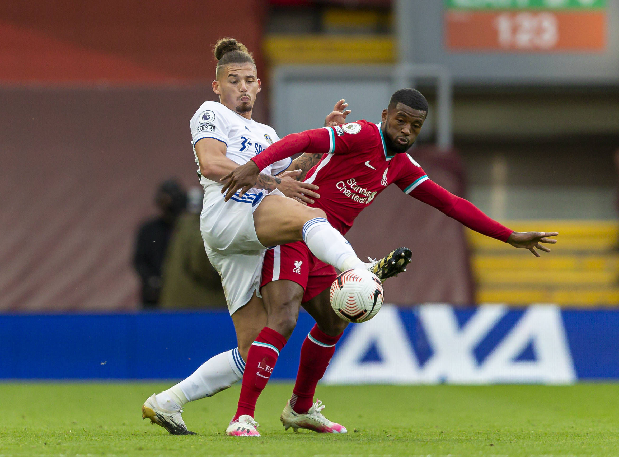 特地来看看 特地来看看